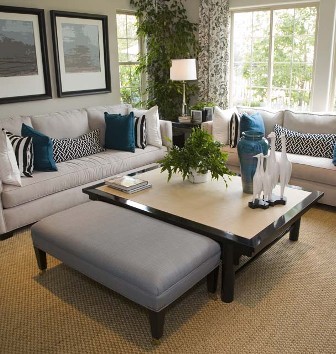 New Living Room in St. Louis, MO