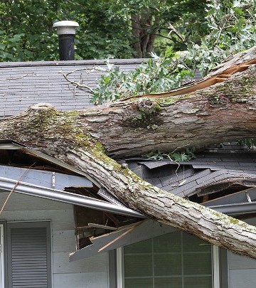 Storm Damage in St. Louis, MO