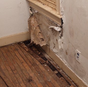 Water damage in St. Louis, MO
